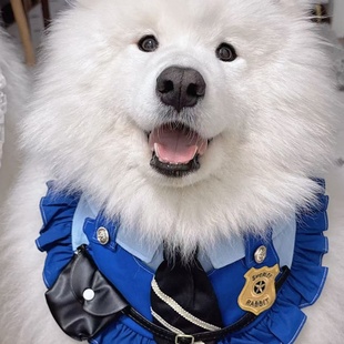 原创宠物猫狗口水巾朱迪尼克围嘴宠物COS服装 兔子警官围兜尼克