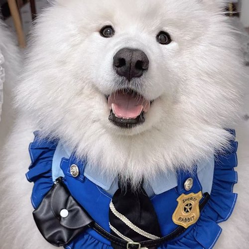 口水巾兔子警官尼克狐