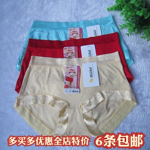 正品樱子大码中高腰内裤女莫代尔纯棉档无痕妈妈女柔软三角裤女