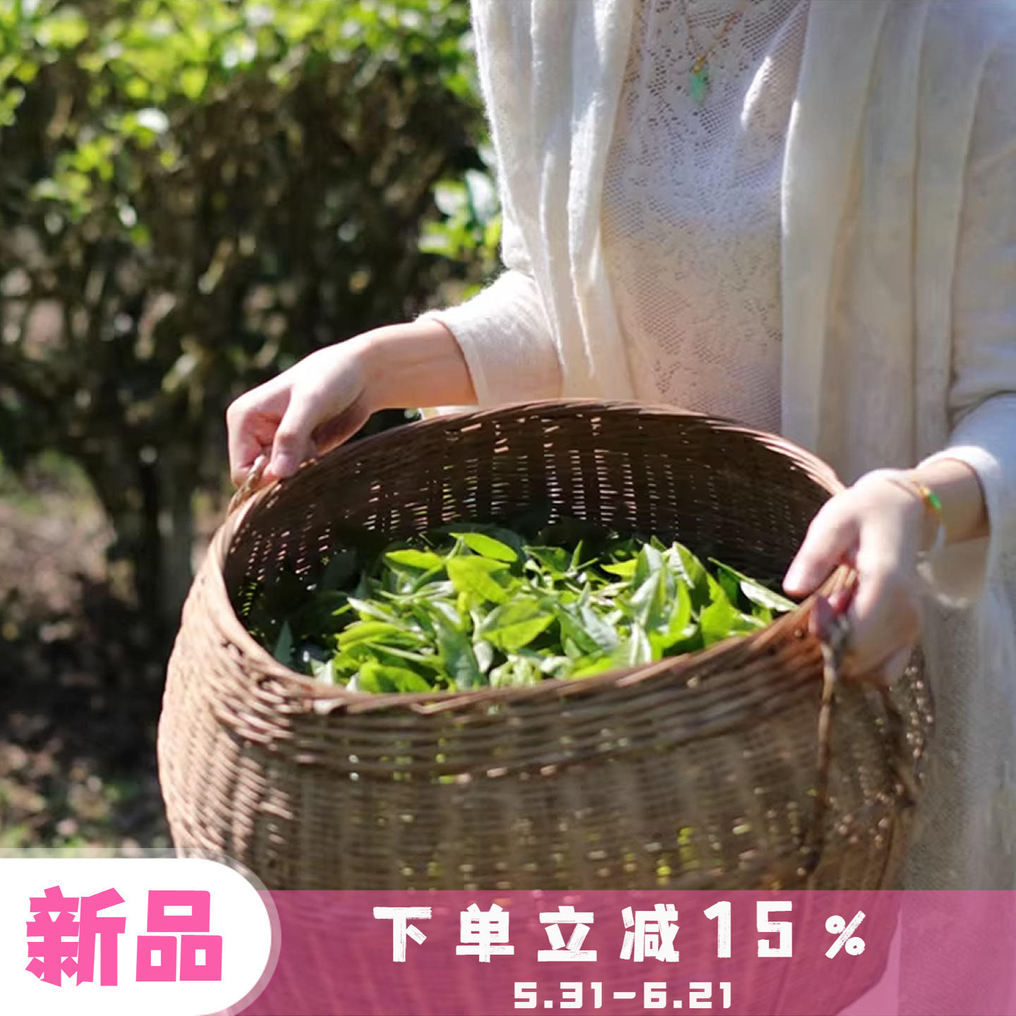 四季沫 香甜好喝 小桃仙不同山场韵味 五指山金萱红茶800米高山