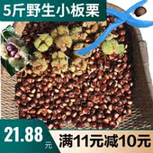野生小板栗生新鲜毛栗子农家现摘板栗油栗锥栗天然江西野栗子5斤