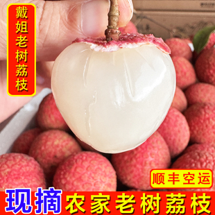 戴姐荔枝老树新鲜高州白糖罂茂名水果桂糯米味糍现摘5斤顺丰空运