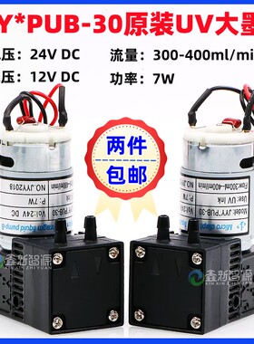 JYY*PUB-30原装UV专用大墨泵UV打印机喷码机喷墨机7W抽墨泵大液泵