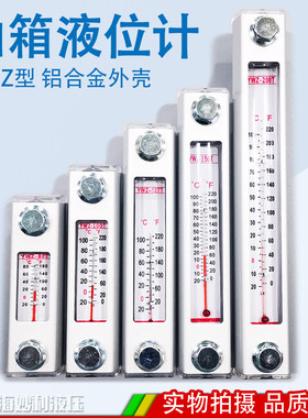 液位计油位计水位计液压油箱油标YWZ-80T100T125T127T150T200300T