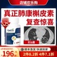 德国克星纯槲皮素肺茶消除 非药结丸专肺部磨节玻璃肺散实性胶囊