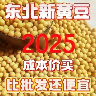 黑龙江非转基因黄豆5斤1斤发豆芽打豆浆农家自种东北苯大豆磨豆浆
