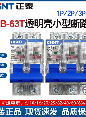 正泰NXB-63T小型断路器空开透明款32A16A家用总开63A保护空气开关