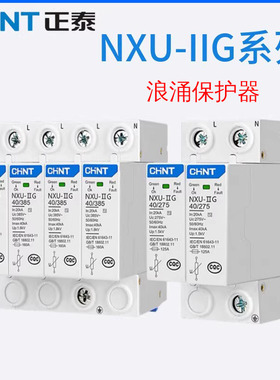 正泰浪涌保护器NXU-IIG 二级电源防雷器家用2p20KA4p40KA保护开关