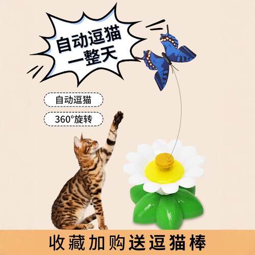 猫咪在家不无聊自嗨解闷神器
