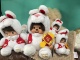 Monchhichi 日本正版 萌趣趣 2023年干支生肖兔年 蒙奇奇