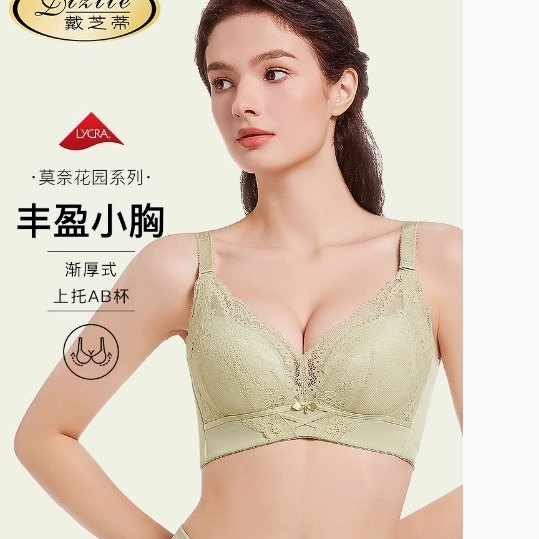 戴芝蒂小胸聚拢内衣收副乳