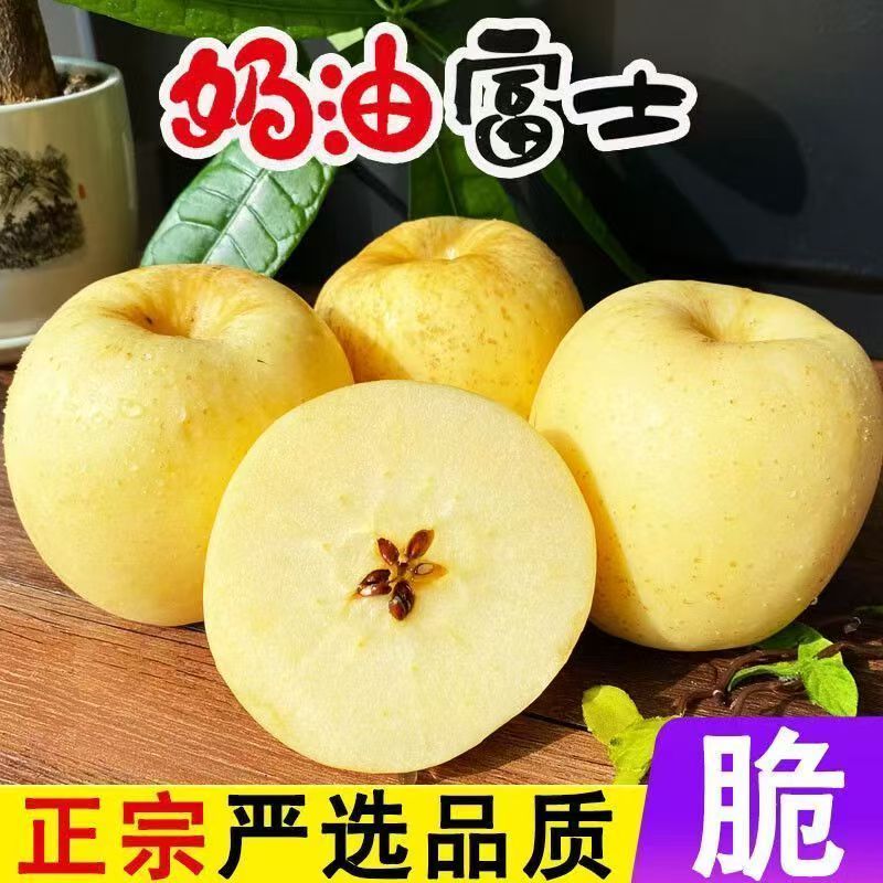 2026年沂蒙山新鲜奶油富士苹果孕妇儿童水果农家元当季现摘现发