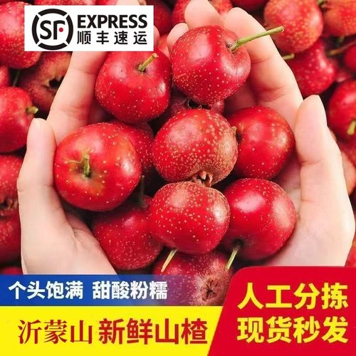 【顺丰】新鲜山楂果鲜果水果大五棱山里红果冰糖葫芦原料泡酒专用