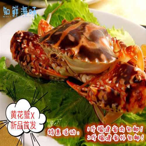 福建东山岛海鲜野生红花蟹新鲜活冻大红花蟹面包蟹花盖蟹3斤包邮