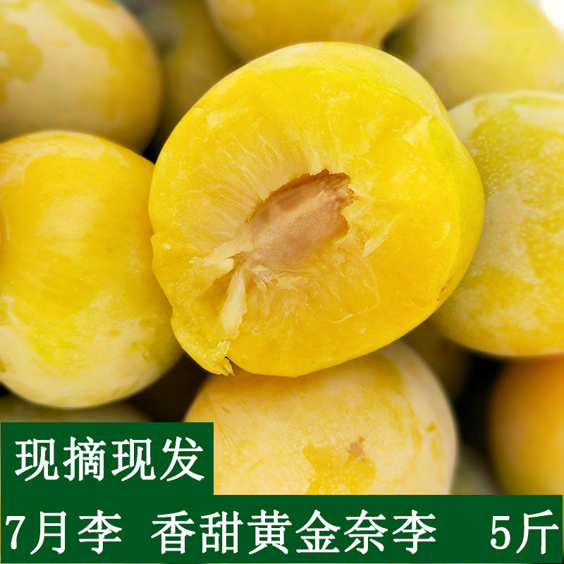 黄金甜李子水果新鲜5斤包邮 黄金奈原生态邯郸李子孕妇零食黄布林