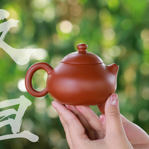 宜兴紫砂壶名家纯手工朱泥文旦壶