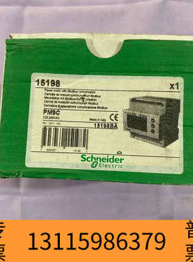 众桦PM9C电能监测仪，型号15198BA，意大利制造