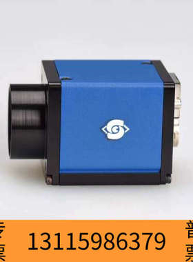 众桦SVS ECO 815CTLGEC 彩色CCD工业相机