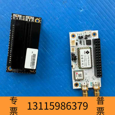 众桦RAK2245Pi Wislink LPWAN 网关集中模块