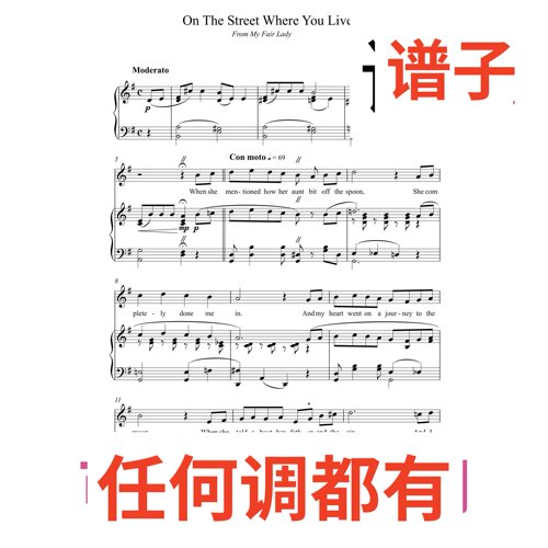 On The Street Where You Live 8G伴奏谱正谱声乐