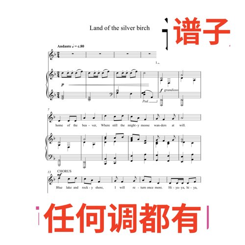 3F Land of the sliver birch伴奏谱正谱声乐