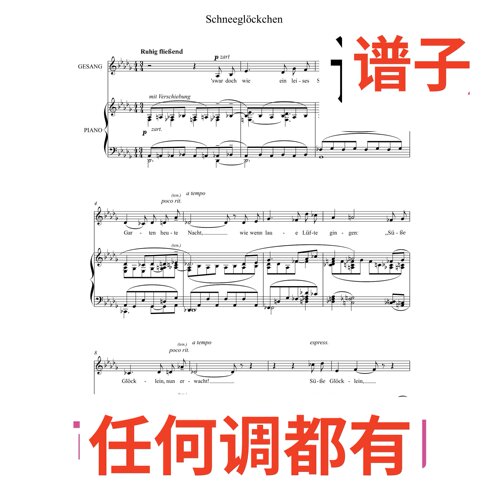 01 Schneeglöckchen Korngold 3bD伴奏谱正谱声乐
