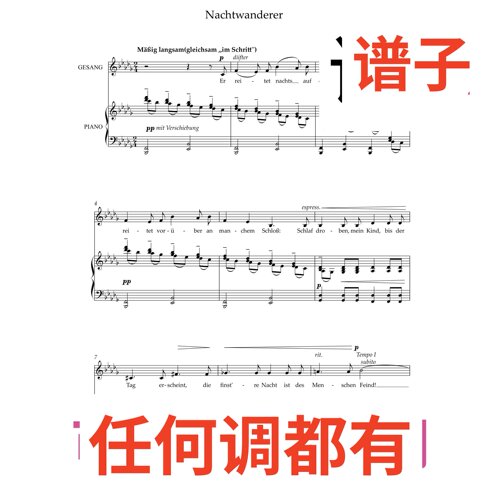 02 Nachtwanderer Korngold 3bD伴奏谱正谱声乐