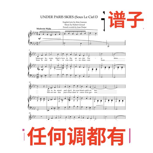 UNDER PARIS SKIES 4bA伴奏谱正谱声乐