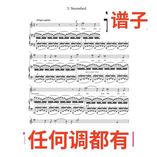 Ullmann Sturmlie 4页C伴奏谱正谱声乐