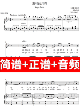 Vage luna 游移的月亮 正谱钢琴伴奏音频 简谱