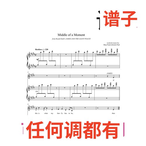 Middle of a Moment 12E伴奏谱正谱声乐