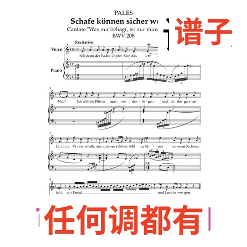 原件F4 Schafe können sicher weiden伴奏谱正谱声乐