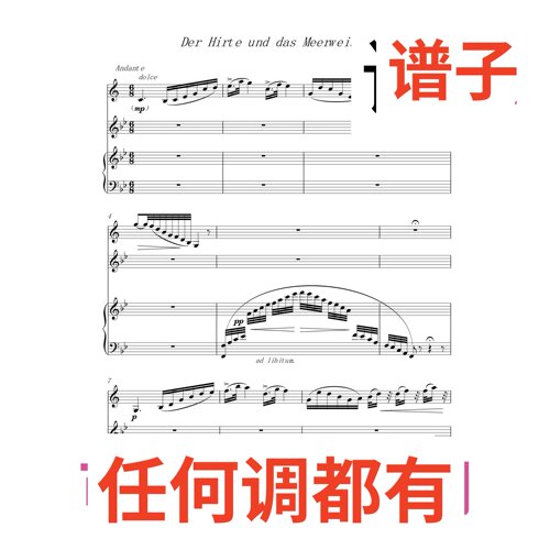 bB15 Der Hirte und das Meerweib伴奏谱正谱声乐
