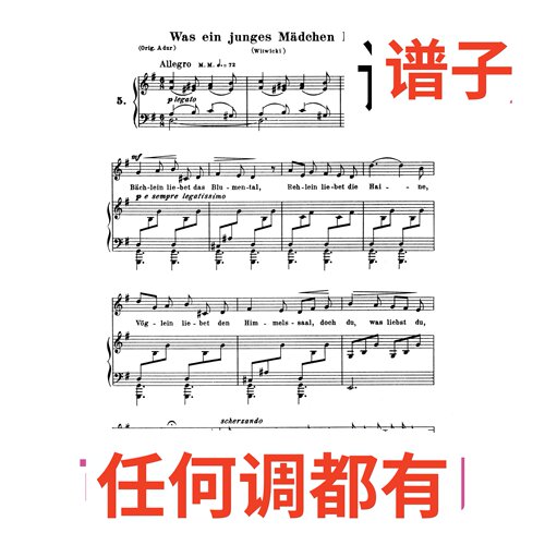 5-was ein junges madchen liebt 2G伴奏谱正谱声乐