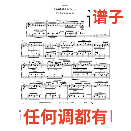 Ich habe genug 9bB伴奏谱正谱声乐