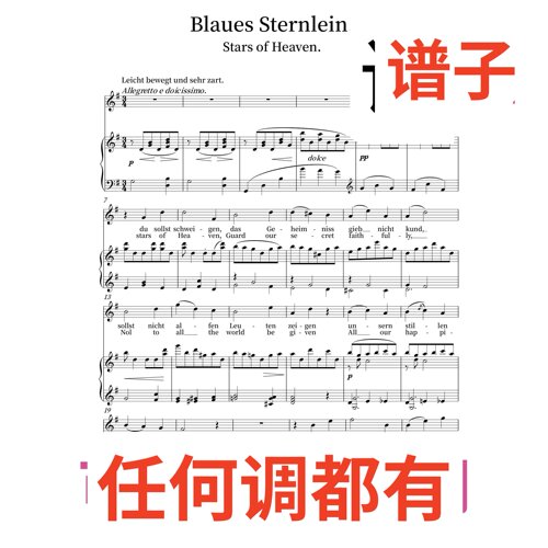 4 Blaues Sternlein Stars of Heaven 2G伴奏谱正谱声乐
