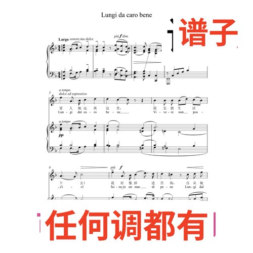 Lungi dal caro bene 4F伴奏谱正谱声乐