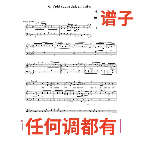Vidit_suum_dulcem_natum 2bA伴奏谱正谱声乐