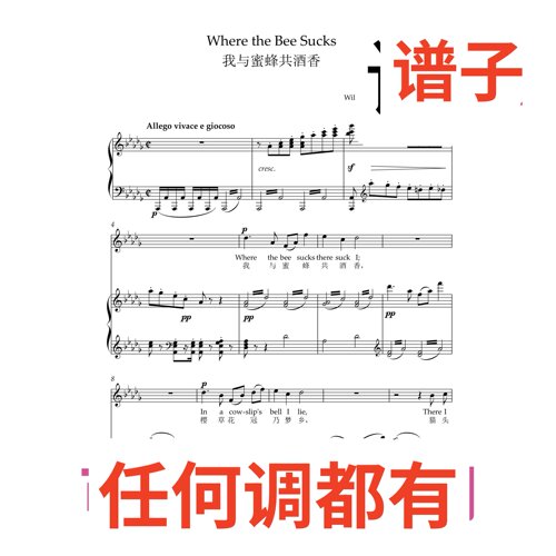 6bD 我与蜂蜜共酒香伴奏谱正谱声乐