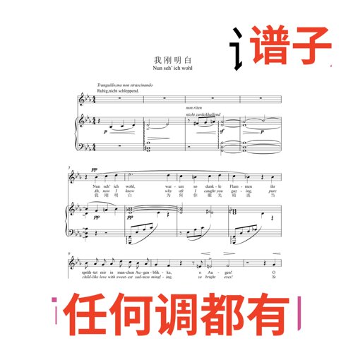 我刚明白 Nun seh'ich wohl 5页bE伴奏谱正谱声乐