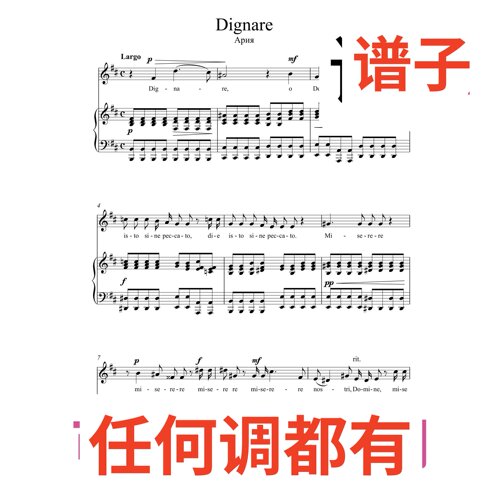 Dignare 2页_D伴奏谱正谱声乐
