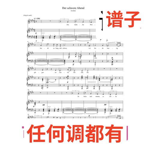 der schwere abend 舒曼90-6 2E伴奏谱正谱声乐