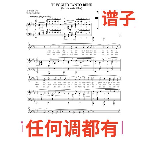 3bD ti vogllo tanto bene dubist mein alles伴奏谱正谱声乐