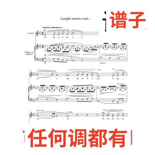 Luoghi sereni e cari 4bE伴奏谱正谱声乐