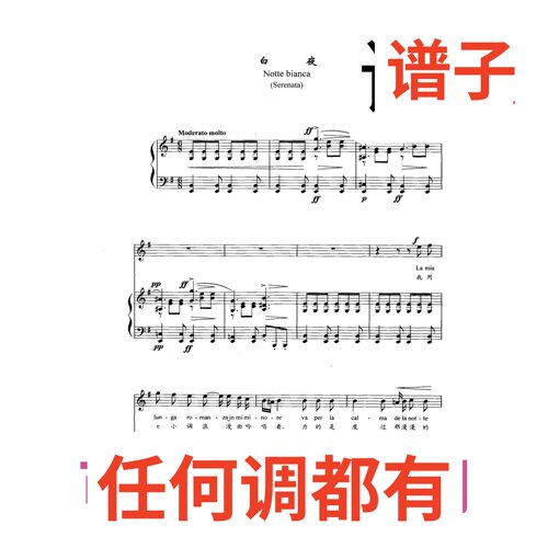 8G 白夜 notte bianca伴奏谱正谱声乐