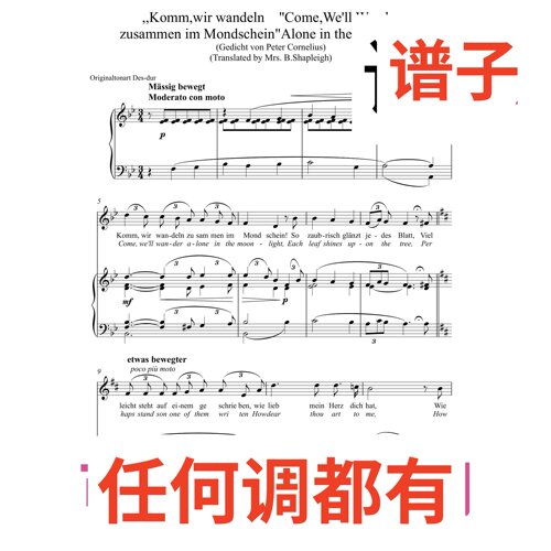 komm wir wandeln zusammen 4bB伴奏谱正谱声乐