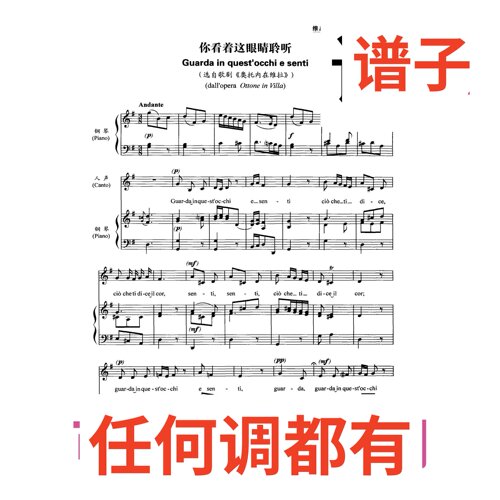 3G 你看着这眼睛聆听 guarda in quest occhi e se伴奏谱正谱声乐