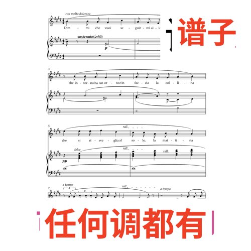 dim mi che vuoi seguirmi 3E伴奏谱正谱声乐