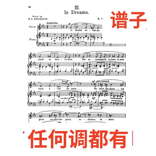 05 In dreams 3bE伴奏谱正谱声乐