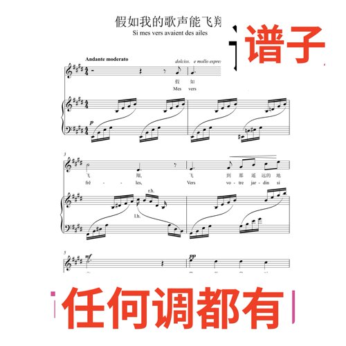 3E Si mes vers avaient des ailes伴奏谱正谱声乐